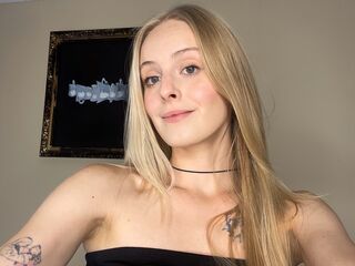 free webcam chat room AshliJonsson