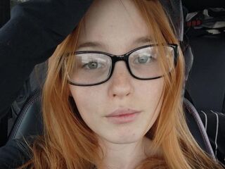 streaming live webcam VetaFerr